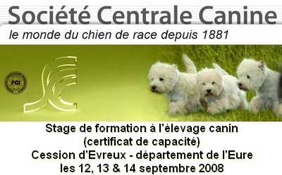 des Fleurs de Geisha - Certificat de Capacité